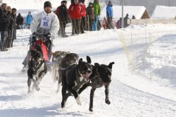 Lenk 2012 SM
